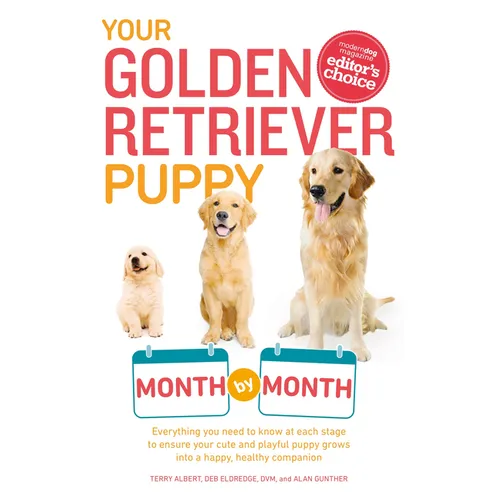 Your Golden Retriever Puppy Month by Month: Everything You Need to Know at Each Stage to Ensure Your Cute and Playful Puppy