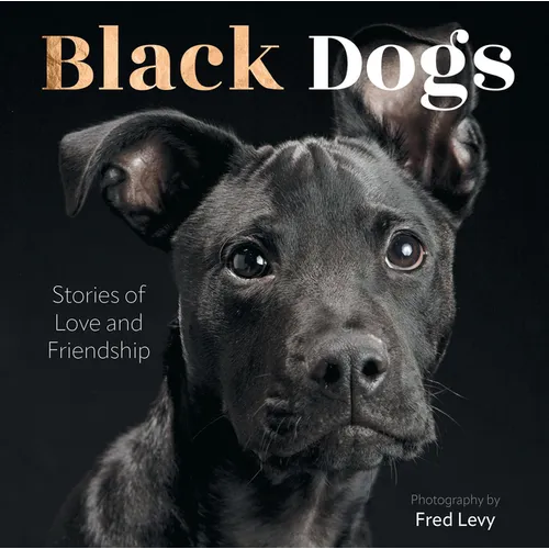Black Dogs: Stories of Love and Friendship