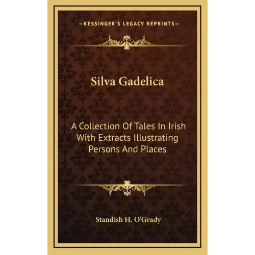 Silva Gadelica: A Collection of Tales in Irish with Extracts Illustrating Persons and Places