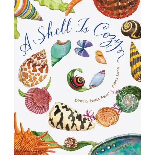 A Shell Is Cozy