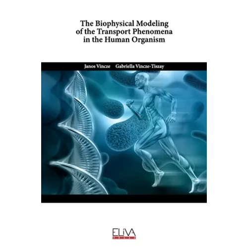 The Biophysical Modeling of the Transport Phenomena in the Human Organism