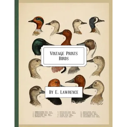 Vintage Prints: Birds