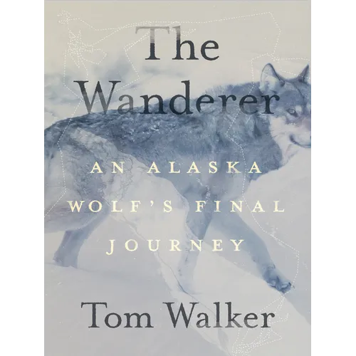 The Wanderer: An Alaska Wolf's Final Journey