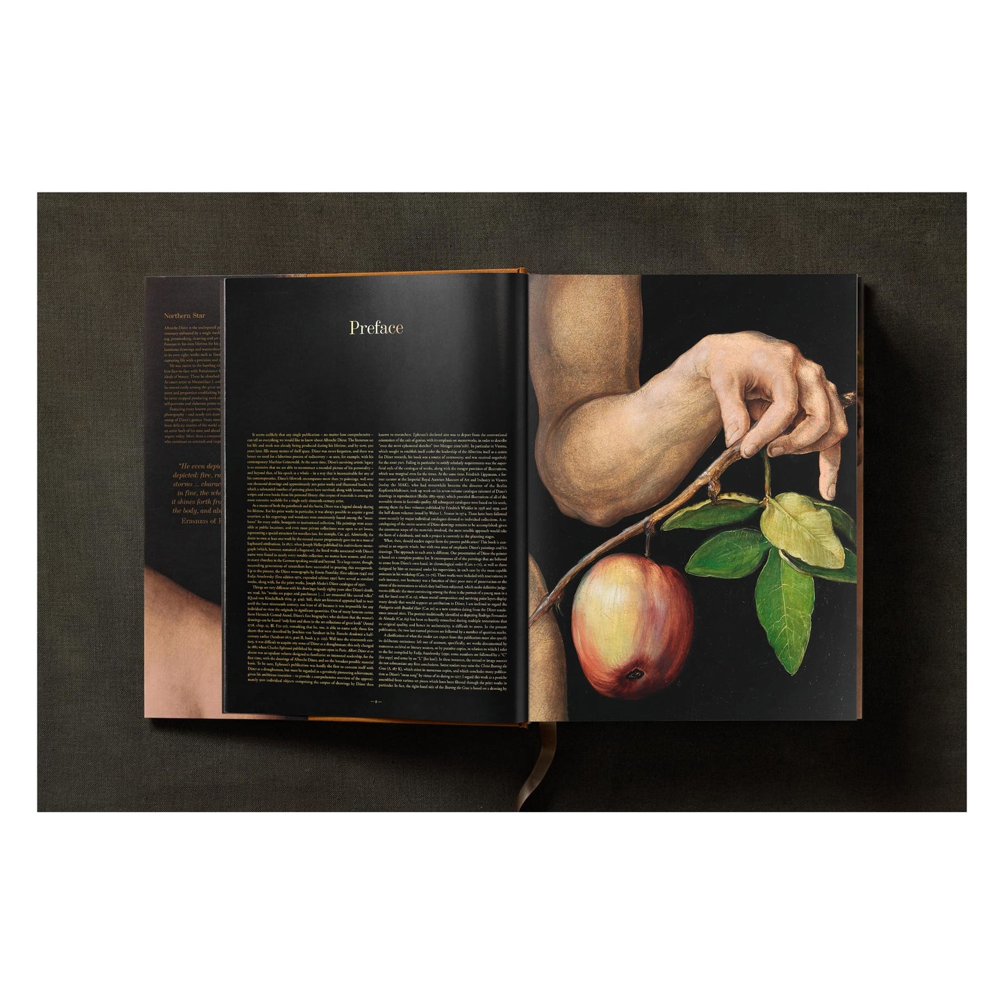 Albrecht Dürer. The Complete Paintings. Selected Drawings and Prints (English) Book