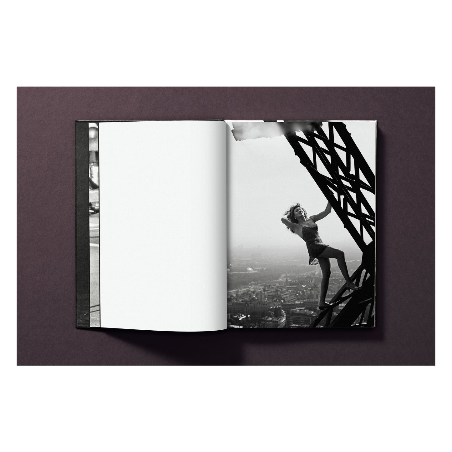Tina Turner by Peter Lindbergh (German, French, English) Book