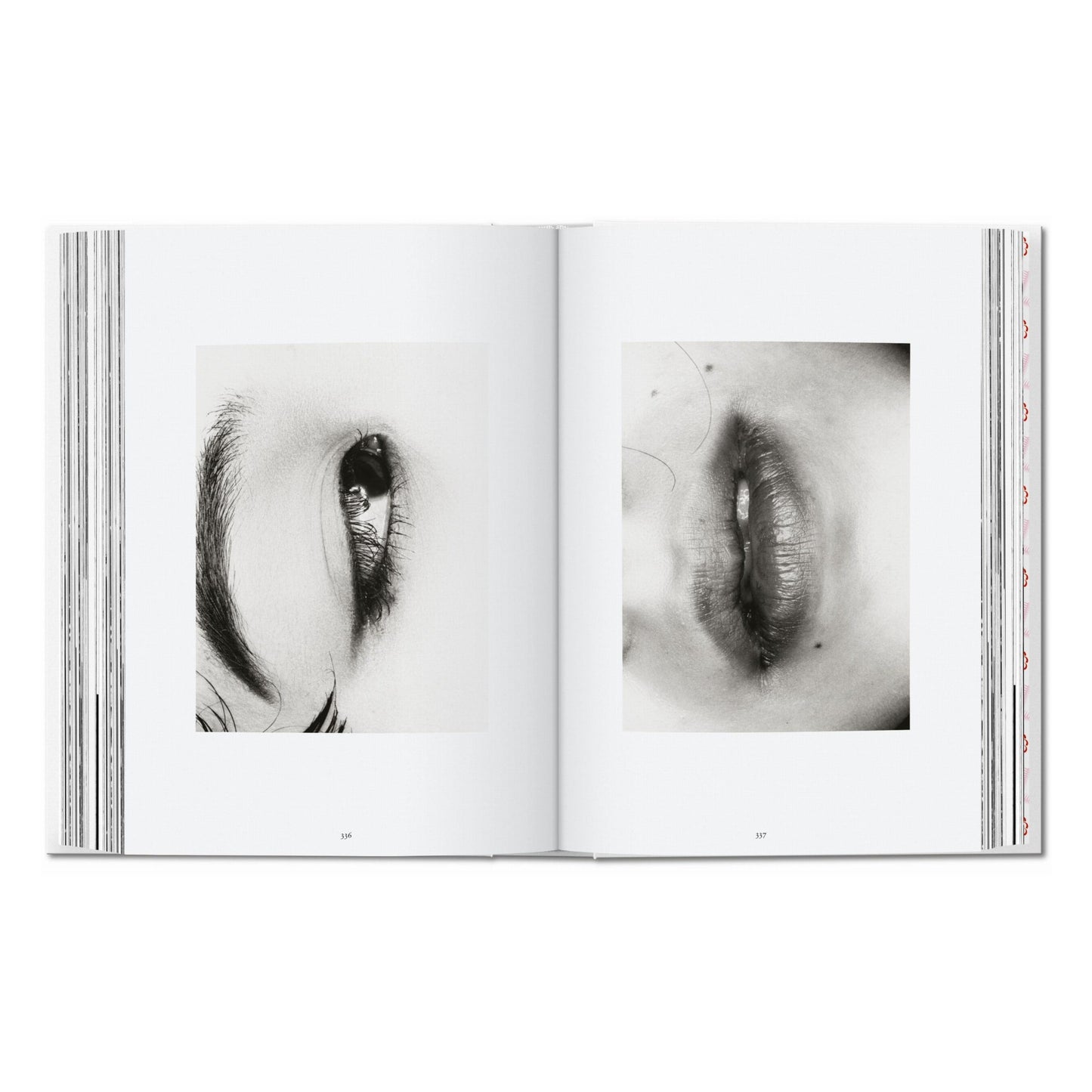 Araki. 45th Ed. (German, French, English) Book