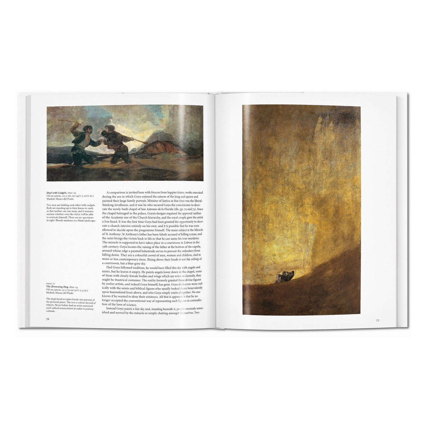 Goya (English) Book