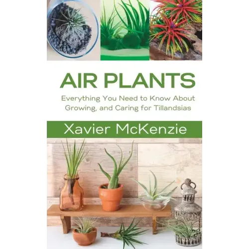 Air Plants: Everything You Need to Know About Growing, and Caring for Tillandsias