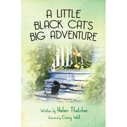 A Little Black Cat's Big Adventure