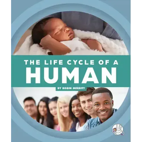 The Life Cycle of a Human