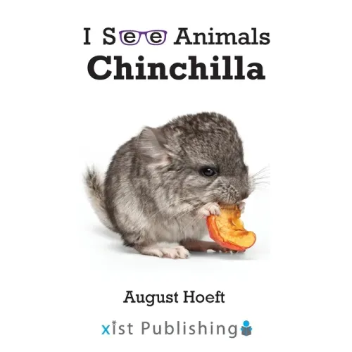 Chinchilla