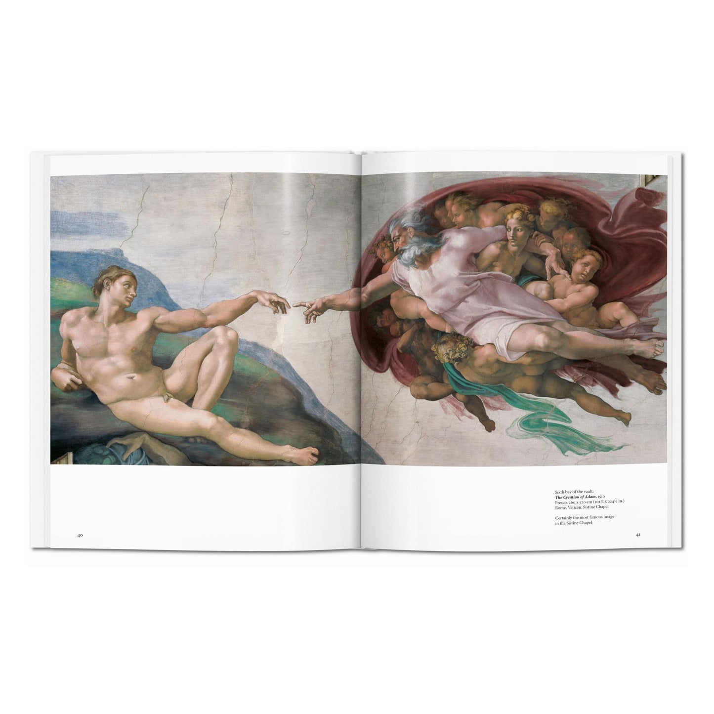 Michelangelo (English) Book