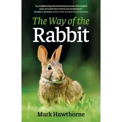 The Way of the Rabbit