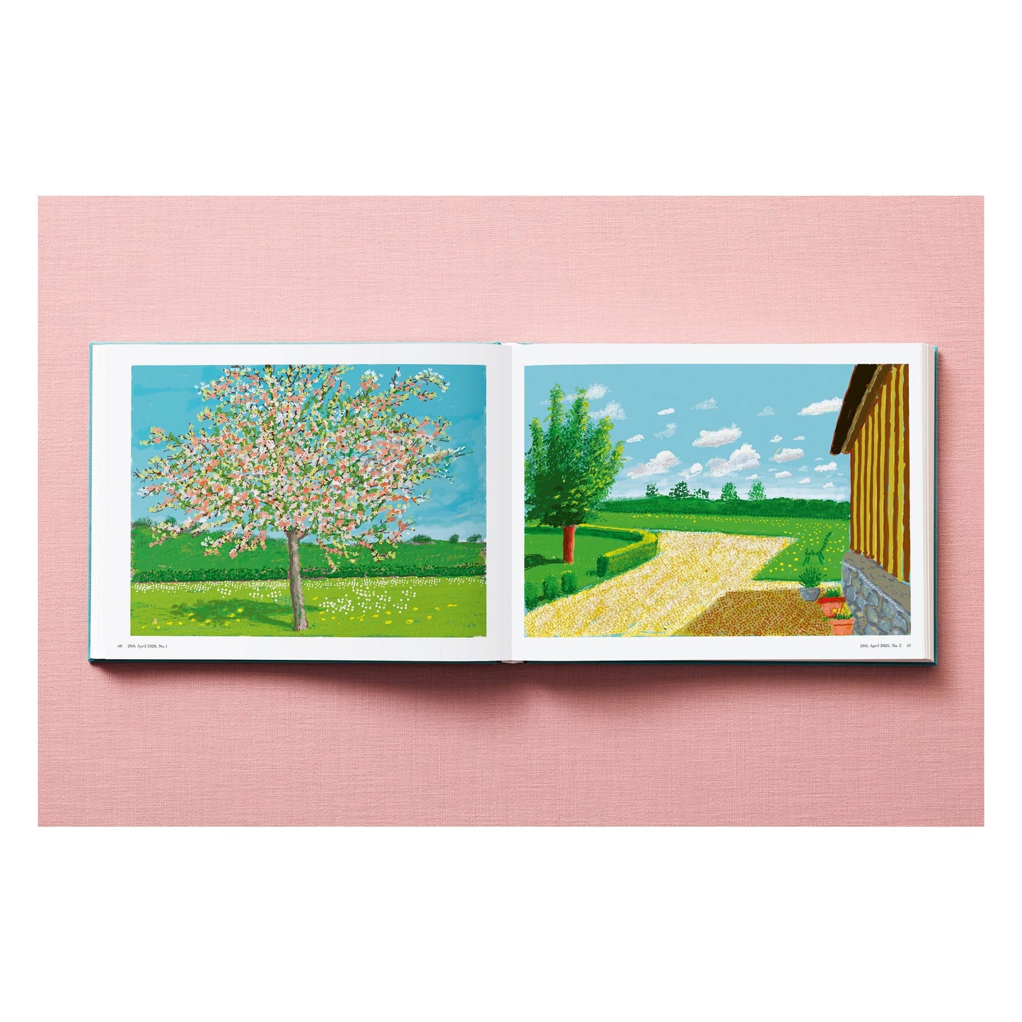 David Hockney. 220 for 2020 (English) Book