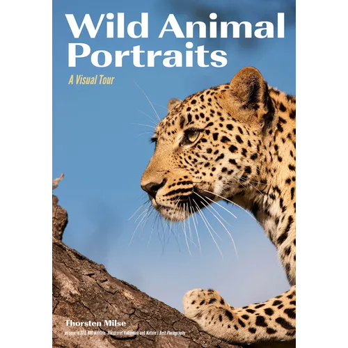Wild Animal Portraits: A Visual Tour