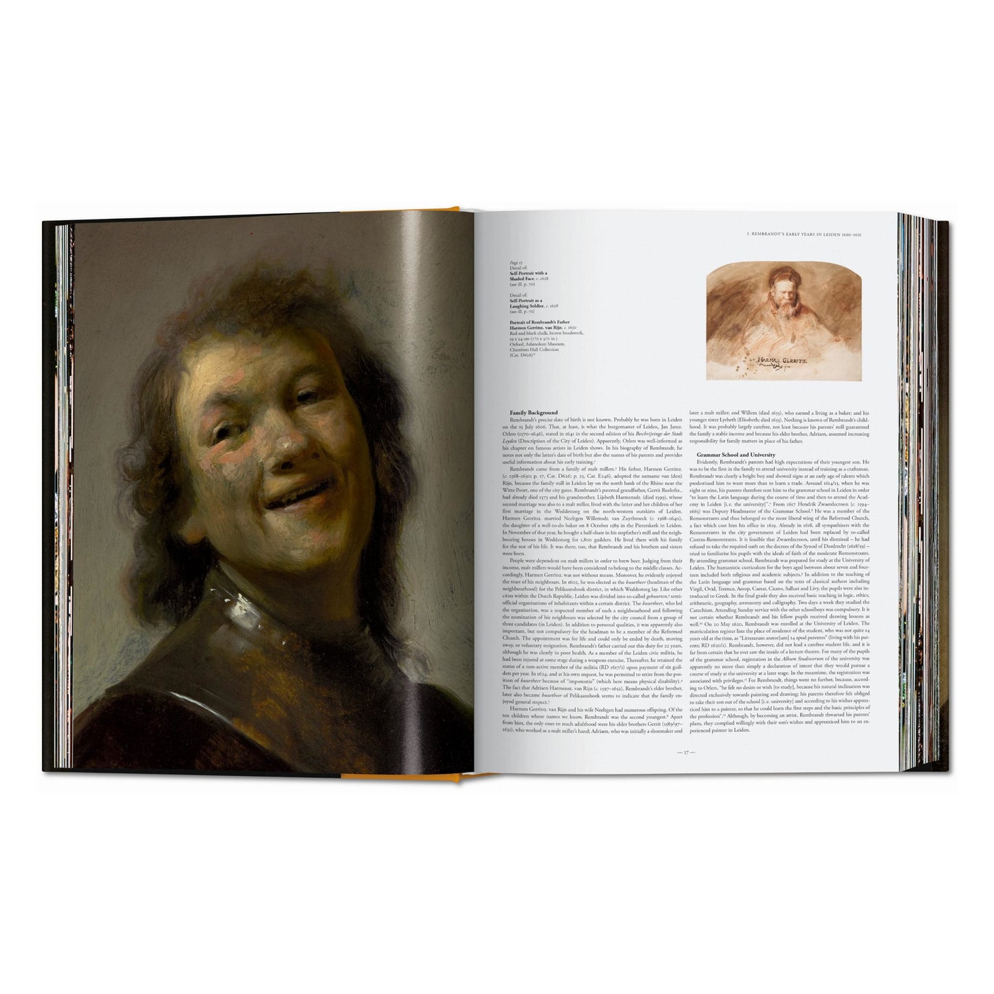 Rembrandt. The Complete Paintings (English) Book