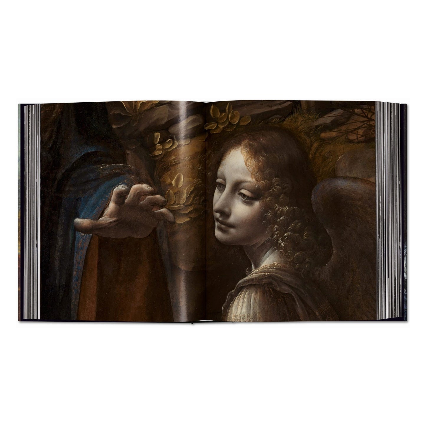Leonardo. The Complete Paintings and Drawings (English) Book