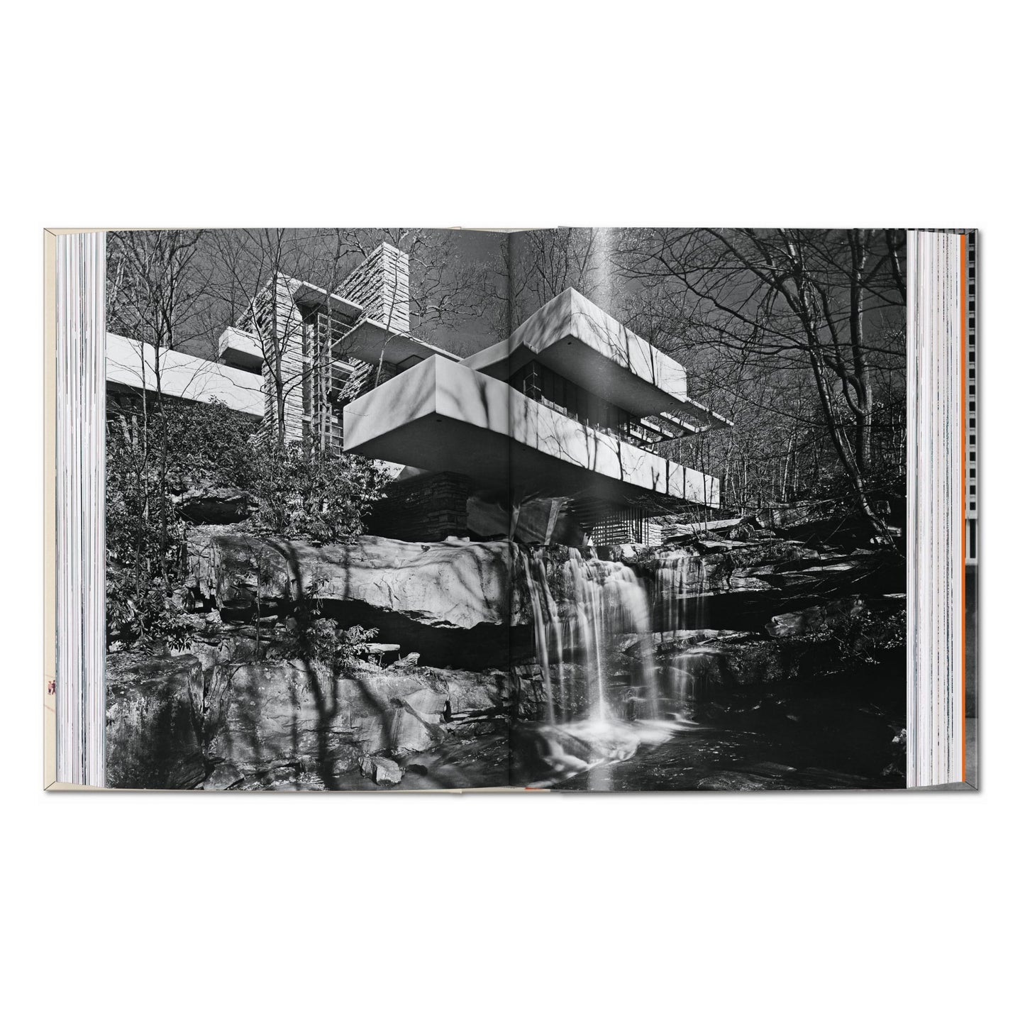 Frank Lloyd Wright. 45th Ed. (English) Book