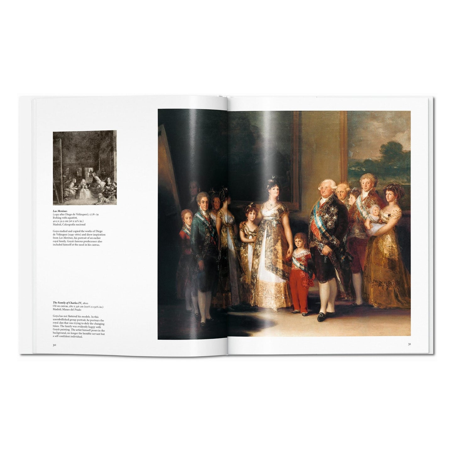Goya (English) Book