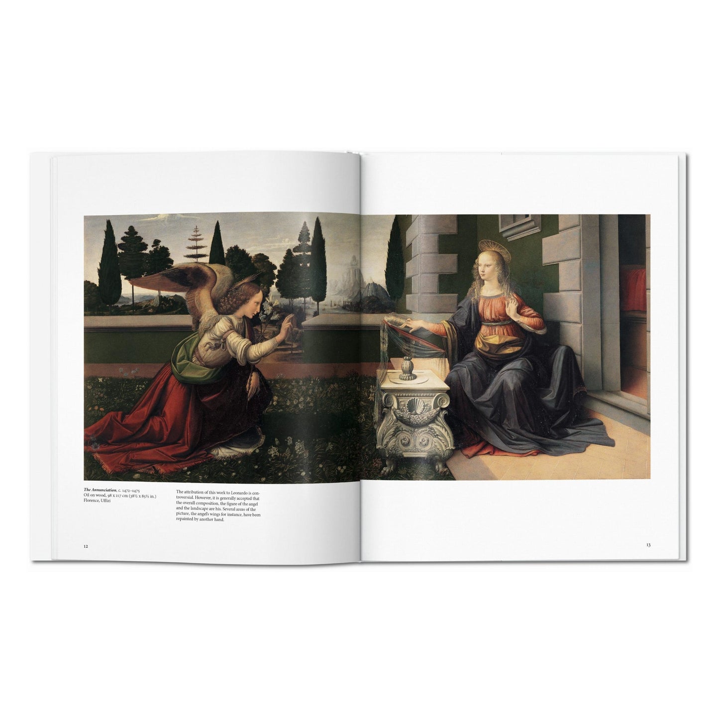 Leonardo (English) Book