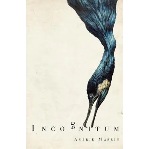 Incognitum