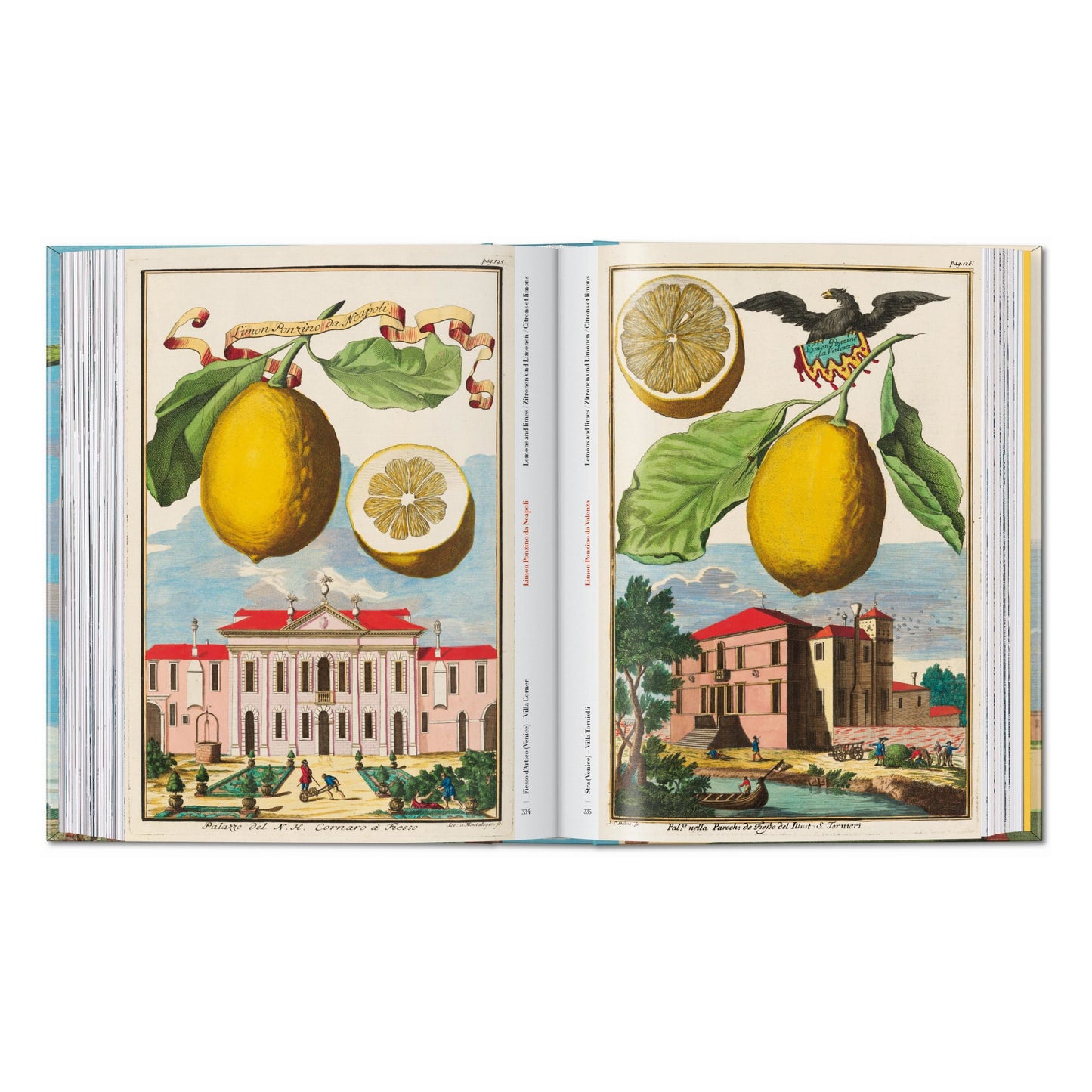 J. C. Volkamer. The Book of Citrus Fruits. 45th Ed. (German, French, English) Book