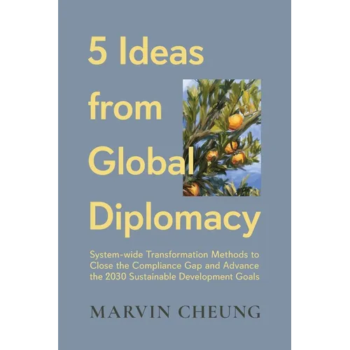 5 Ideas from Global Diplomacy: System-wide Transformation Methods to Close the Compliance Gap and Advance the 2030 Sustainable Development Goals