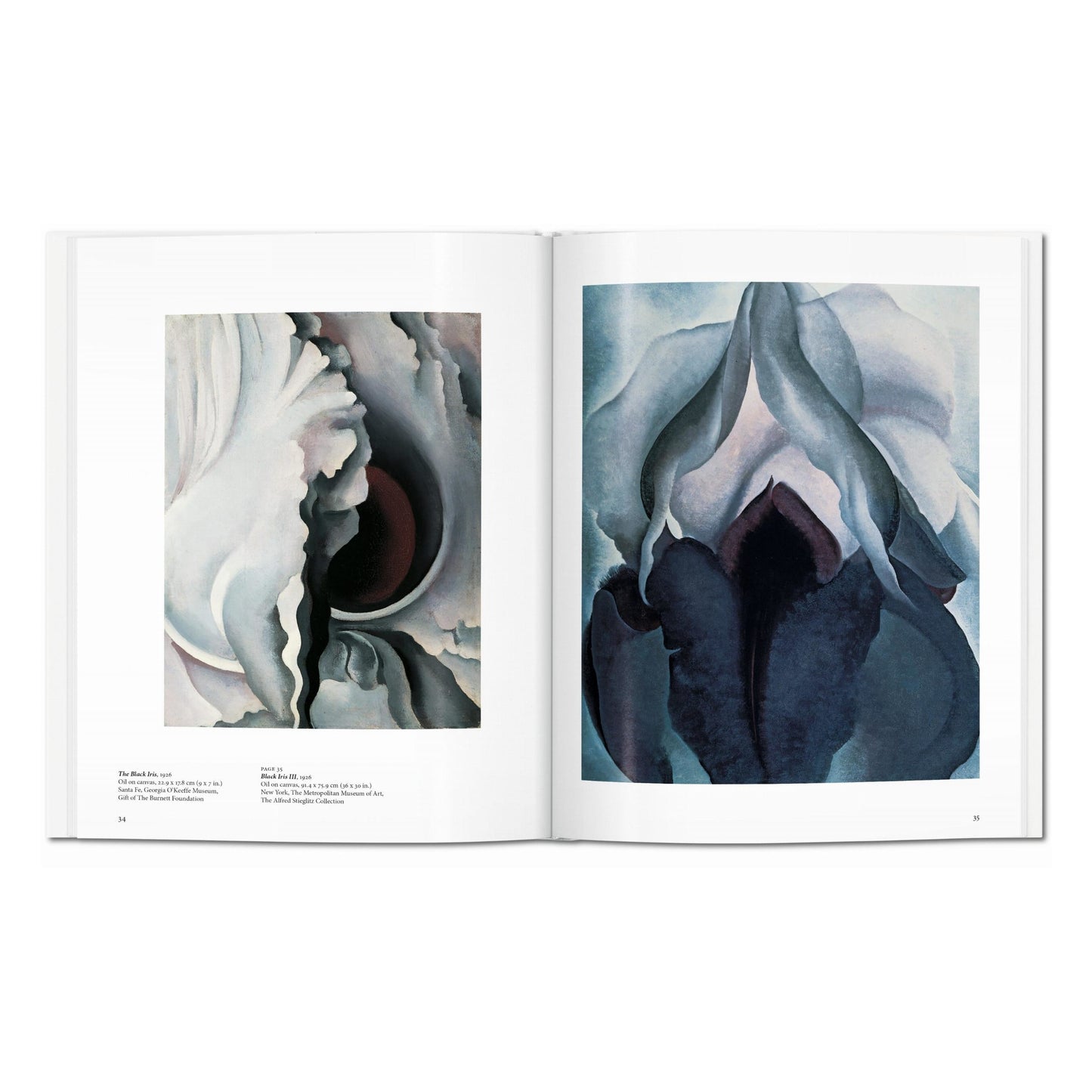 O'Keeffe (English) Book