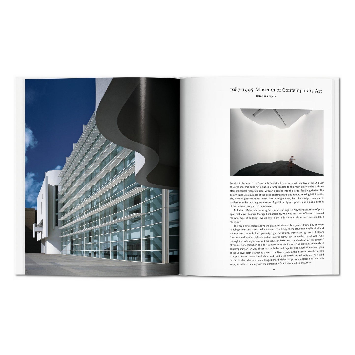 Meier (English) Book