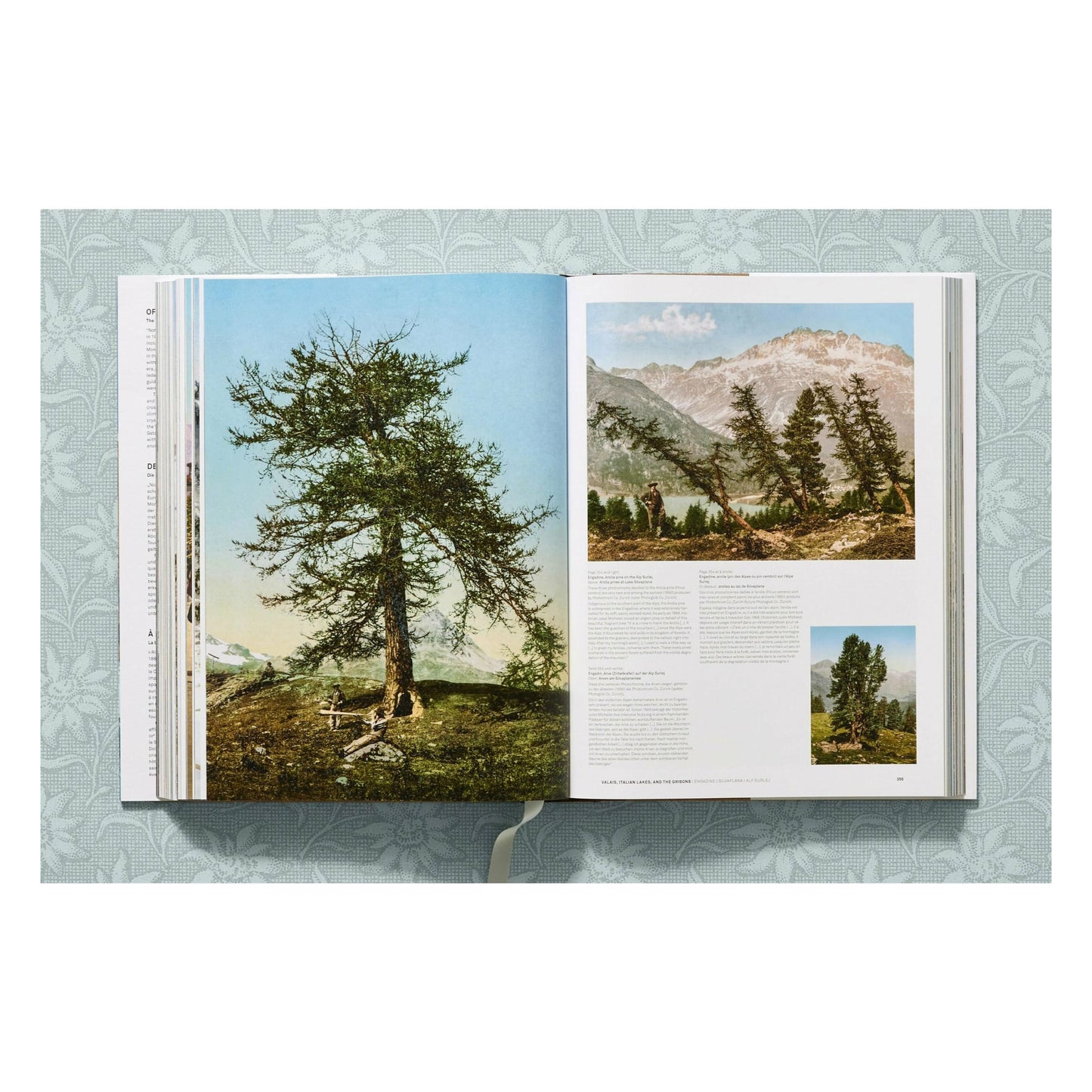 The Alps 1900. A Portrait in Color (German, French, English) Book