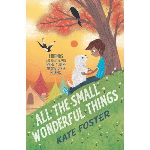 All the Small Wonderful Things