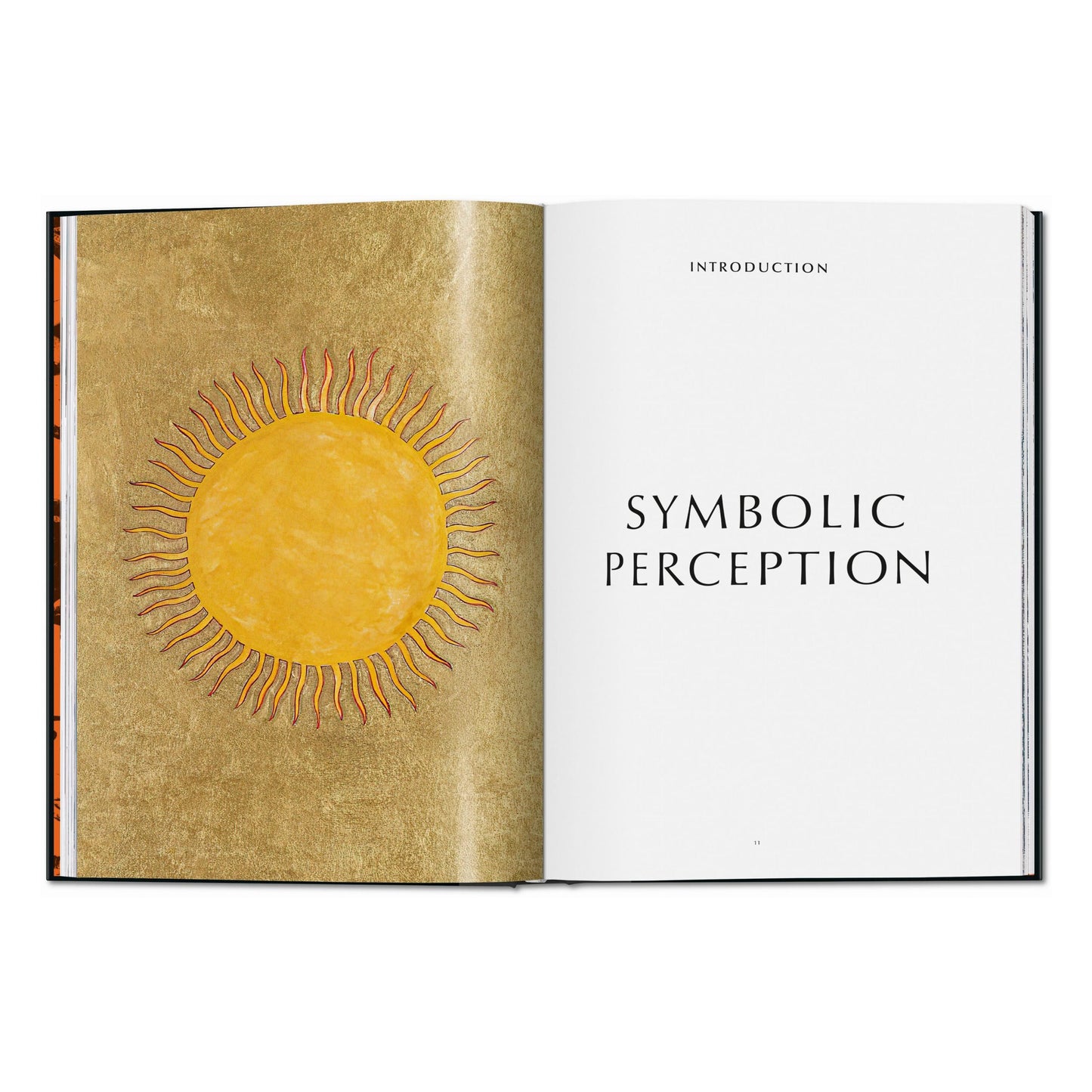 The 12 Steps. Symbols, Myths, and Archetypes of Recovery (English) Book