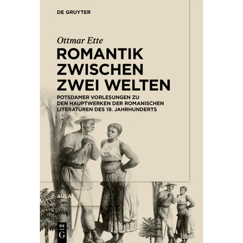 Romantik Zwischen Zwei Welten: Potsdamer Vorlesungen Zu Den Hauptwerken Der Romanischen Literaturen Des 19. Jahrhunderts