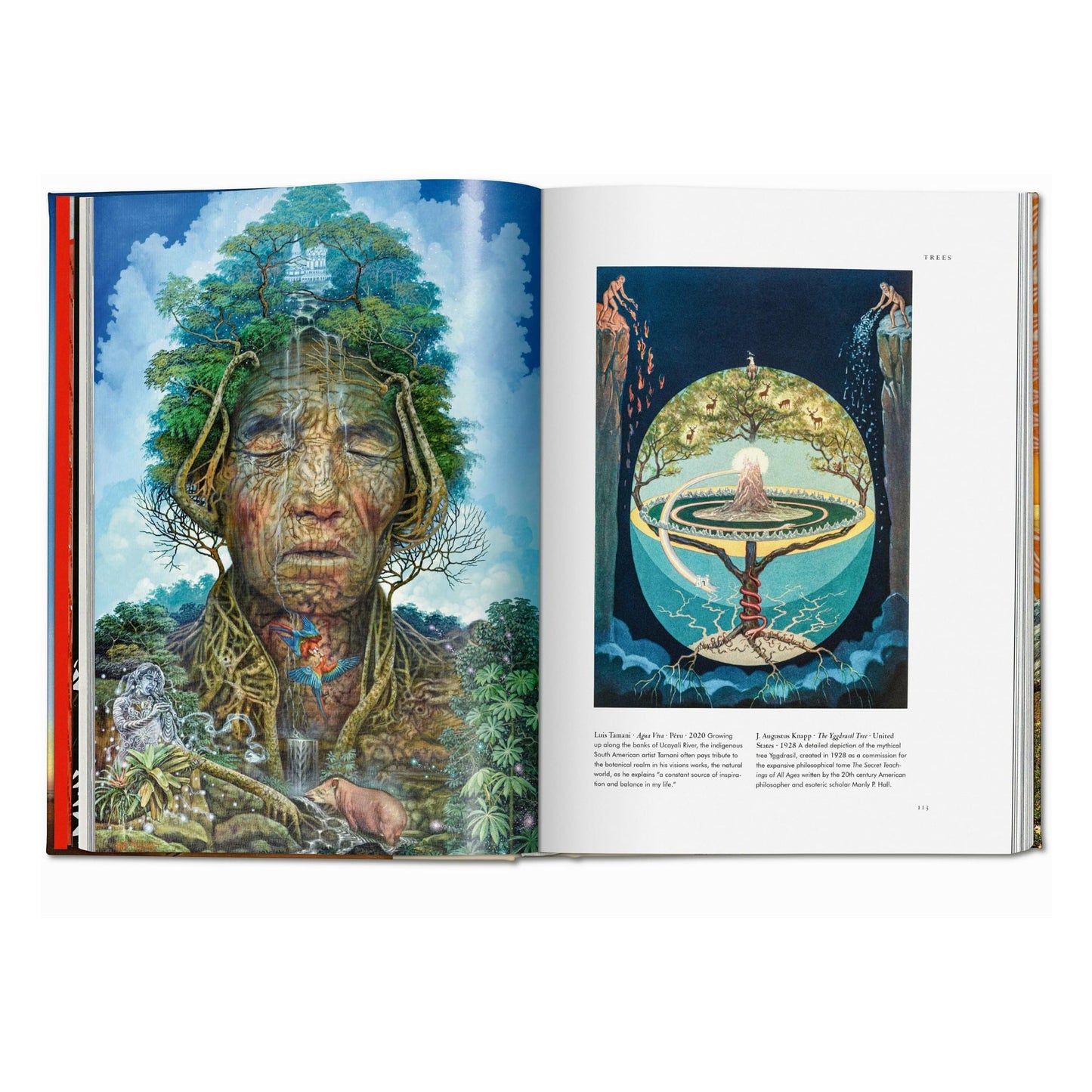 Plant Magick. The Library of Esoterica (English) Book