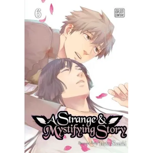 A Strange & Mystifying Story, Vol. 6
