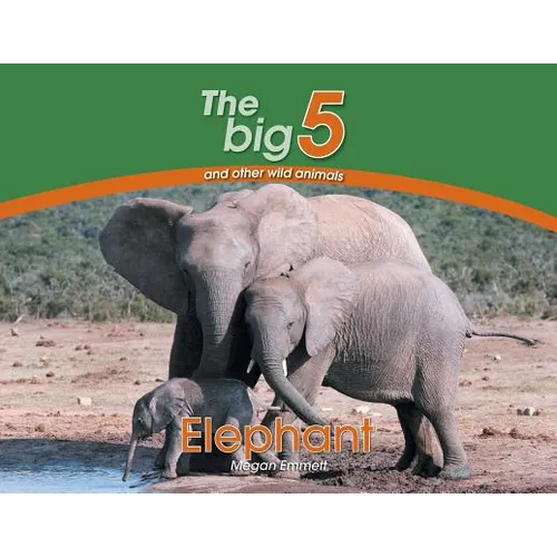 Elephant: The Big 5 and other wild animals