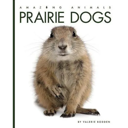 Prairie Dogs