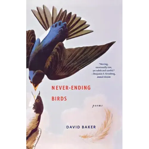 Never-Ending Birds: Poems