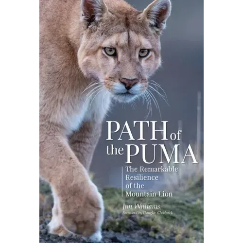 Path of the Puma: The Remarkable Resilience of the Mountain Lion