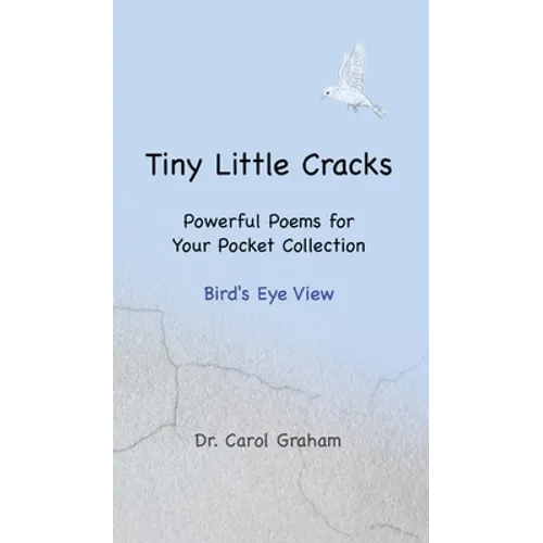 Tiny Little Cracks: Powerful Poems for Your Pocket Collection: Bird's Eye View