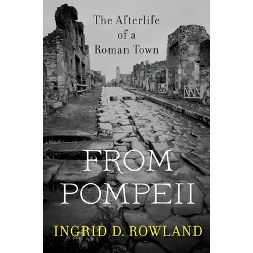 From Pompeii: The Afterlife of a Roman Town