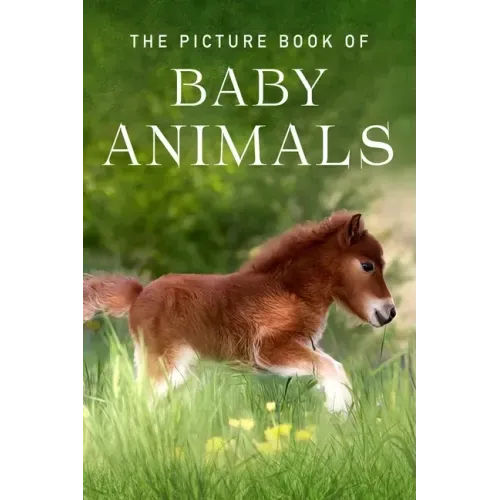 The Picture Book of Baby Animals: A Gift Book for Alzheimer's Patients and Seniors with Dementia