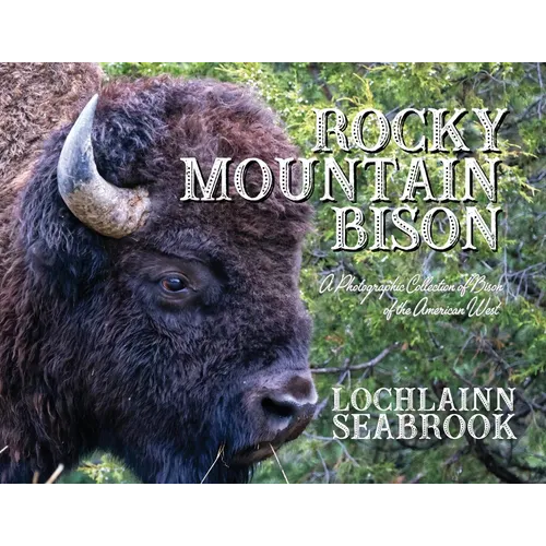 Rocky Mountain Bison: A Photographic Collection of Bison of the American West