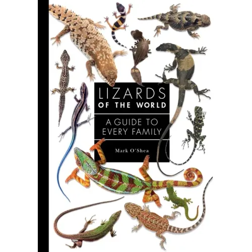 Lizards of the World: A Guide to Every Family