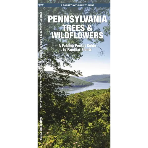 Pennsylvania Trees & Wildflowers: A Folding Pocket Guide to Familiar Plants