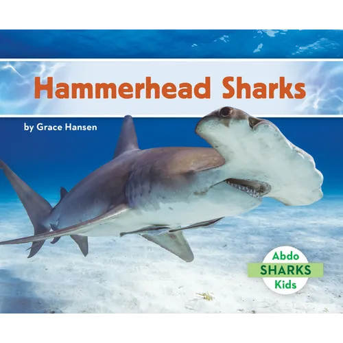 Hammerhead Sharks