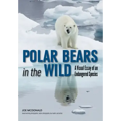 Polar Bears in the Wild: A Visual Essay of an Endangered Species