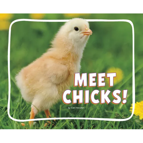 Meet Chicks!