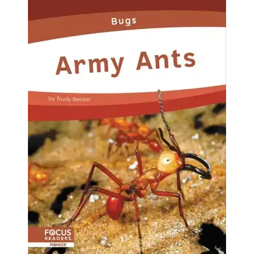Army Ants