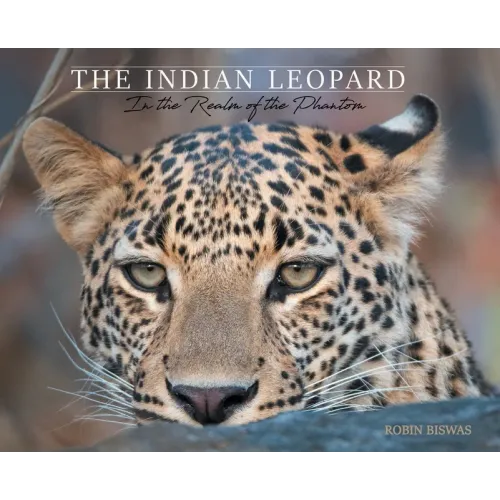 The Indian Leopard: In the Realm of the Phantom